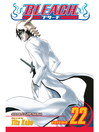 Cover image for Bleach, Volume 22
